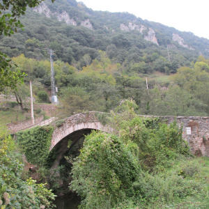 Puente medieval de Villanueva (Foto LVT)