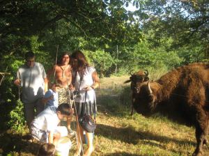 Los dos bisontes europeos del Parque tevergano