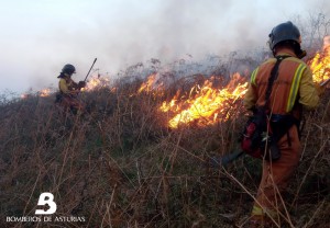 Bomberos-de-Asturias-atacando-uno-de-los-frentes-en-incendio