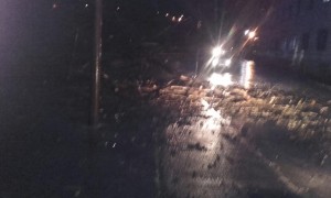 El árbol cayó en la zona de El Gortay