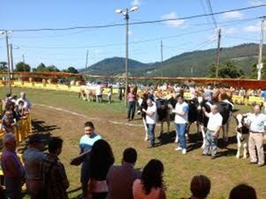 Todo listo para el certamen ganadero de Las Regueras