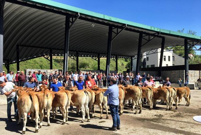 Teverga amplía su concurso de ganado a los concejos vecinos