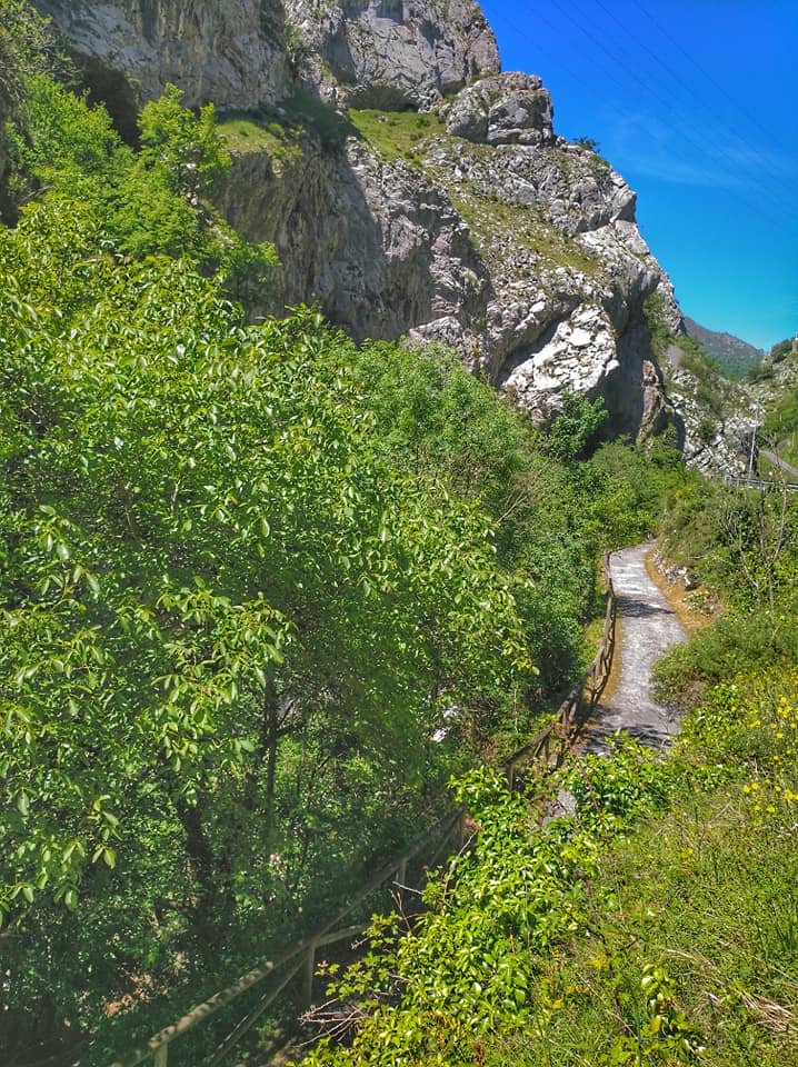 senda oso teverga : maquila El PP de Teverga reclama mejoras en la Senda del Oso y la reparación integral de la carretera de los Valles del Trubia
