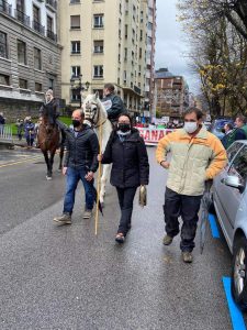 Ganaderos en manifestación en Oviedo