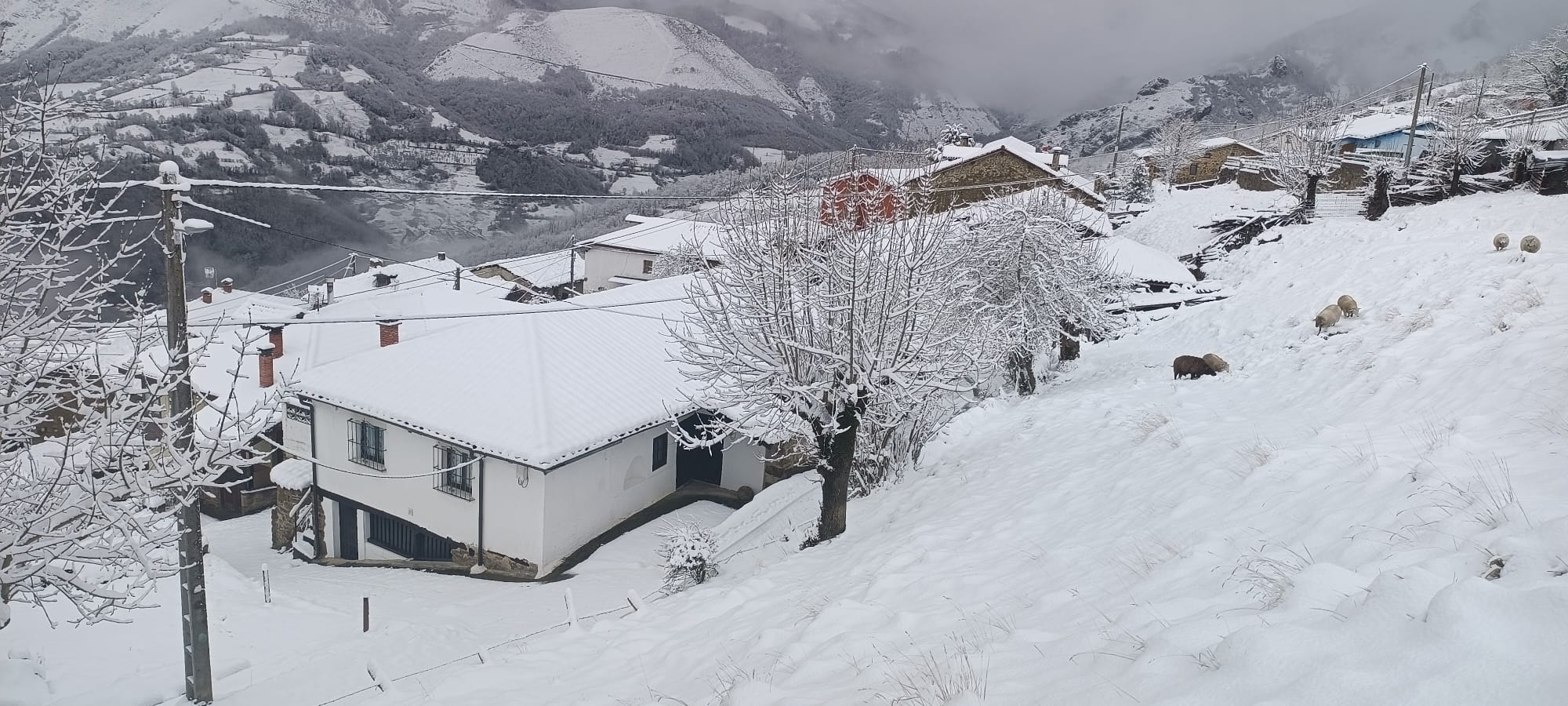 Nueva alerta por nevadas en los concejos de la Cordillera