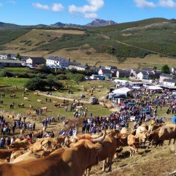 Feria del Puertu Somiedo: Gran afluencia de ganaderos y público