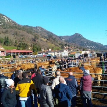 Proaza, lista para la feria ganadera de San Blas