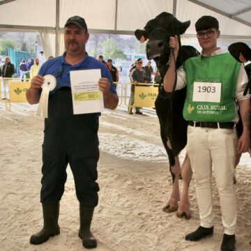 Salas culmina con gran éxito el I Concurso de Vaca Frisona