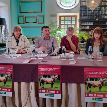 Más de 120 ganaderías participan en Cangas en el concurso subasta nacional de Asturiana de los Valles