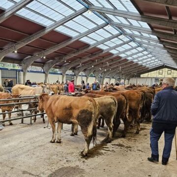 Cangas celebra la Feria del Sábado de Ramos