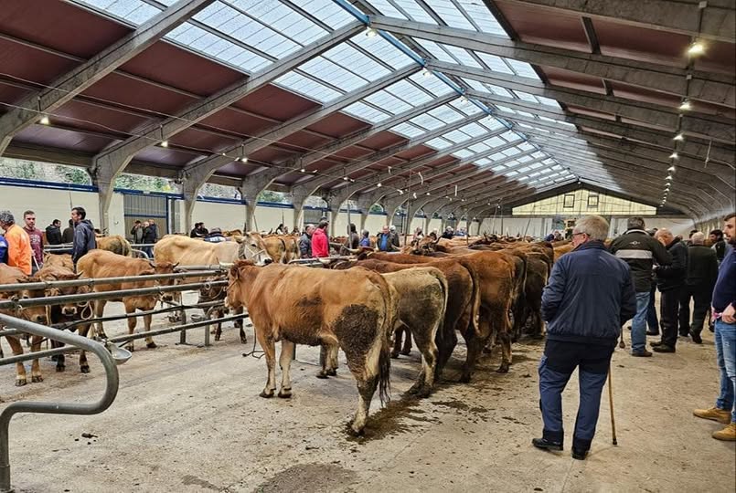 Cangas celebra la Feria del Sábado de Ramos