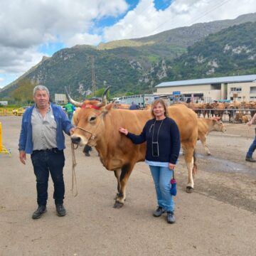 Banduxu y Linares, en Proaza, y Campiello en Teverga, triunfan en el concurso ganadero de los Valles