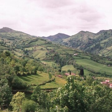 Grado-bocage El mundo que se oculta en las ‘sebes’, mañana en Grau
