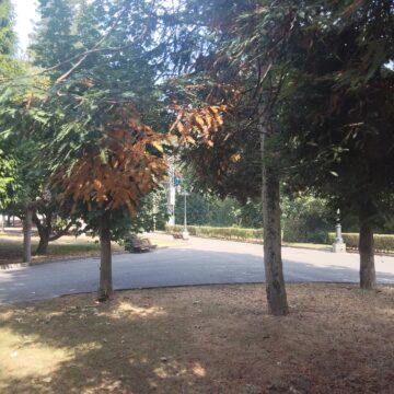 1000011180 Vecinos de Trubia piden al Ayuntamiento que riegue el Parque de Cataluña