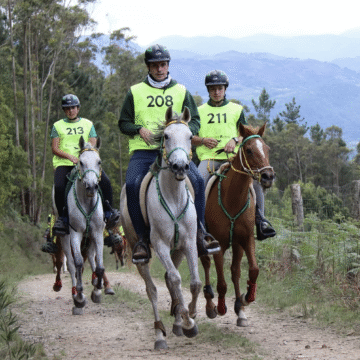 Las Regueras acogerá el campeonato de Asturias de resistencia ecuestre 2025