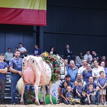 frisona salas Casa Venturo de Salas gana el campeonato Nacional de Raza Frisona 2025