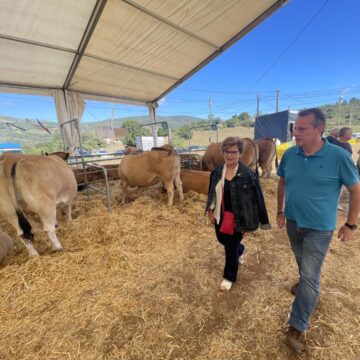 marcos y maribel Más de 150 reses exhiben la fortaleza ganadera de Las Regueras