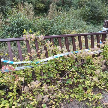 barandilla corea Los vecinos del barrio de Corea, en Trubia, denuncian el estado de las barandillas que dan al río