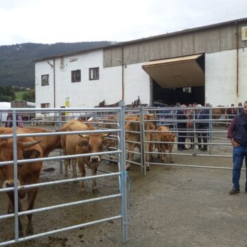feria-mulas-salas2 Ya hay fecha para la celebración de la Feria de las Mulas, en Salas