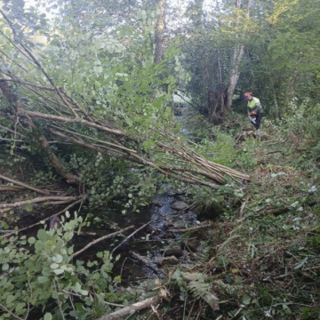 rio camuño salas La Confederación Hidrográfica limpia el río Camuño en Salas