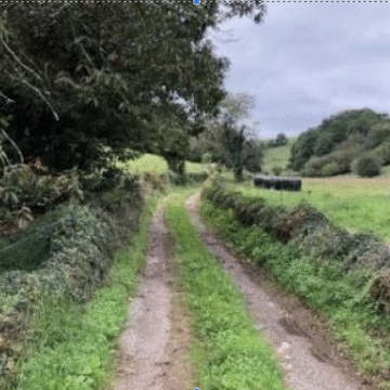 Captura de pantalla 2025-11-03 a las 10.27.39 El Principado adjudica la mejora del acceso a Carcabón, en Las Regueras