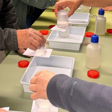 Captura de pantalla_4-11-2025_82935_web.whatsapp.com Proaza celebra la Semana de la Ciencia con Científica Quimi