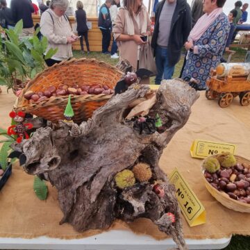 IMG-20251103-WA0050 Aces rinde tributo a las mejores castañas