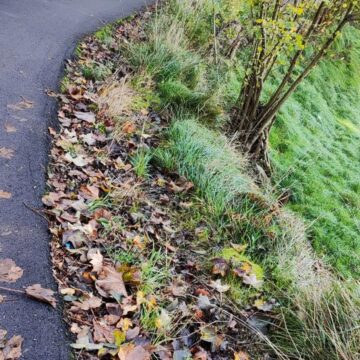 cunetas acceso perlin Vecinos de Perlín piden la limpieza de cunetas y quitamiedos en la carretera desde Trubia
