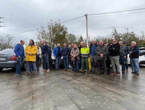 Las Regueras: «Aquí nunca hubo lobos y ahora en dos meses me mataron 20 animales»