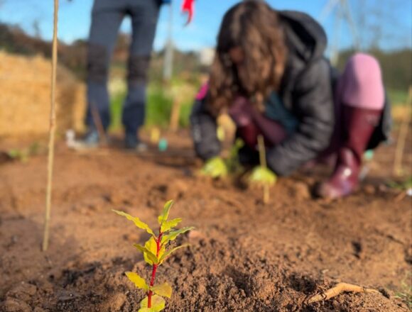las-regueras-arboles-cole-I-1229x1536 El colegio de Las Regueras gana el primer premio a Bosque Urbano del Año en España