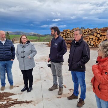 Medio Rural destina más de 400.000 euros a repoblaciones forestales en Tineo