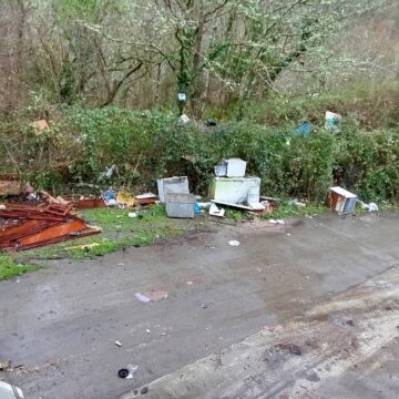 El ‘punto limpio’ de Proaza, un foco de basura