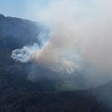 Los ecologistas cuestionan la repoblación forestal de los montes Cabada, Llaguero, Siella y Cobertoria, en Tineo