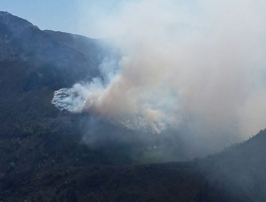 Asturias vuelve a arder, con 33 incendios en 14 concejos