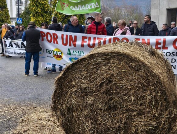 El campo asturiano vuelve a movilizarse contra el acuerdo con Mercosur
