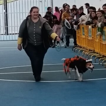 1 PERROS (1) Éxito del primer Antroxu Animal de Grau