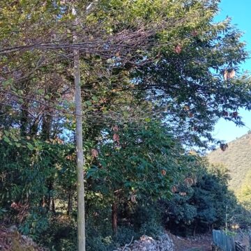 Belmonte adjudica la redacción del proyecto de saneamiento y abastecimiento de Castañedo