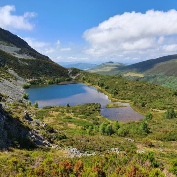 Asturias invertirá 2,5 millones de euros en tres humedales, entre ellos la laguna de Arbás