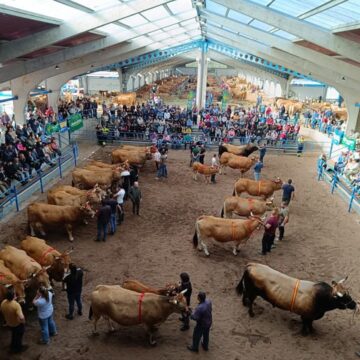 Cangas aplaza el Concurso Nacional de Asturiana de los Valles