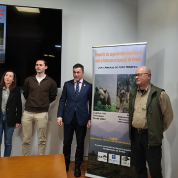Oviedo hará un seguimiento de osos y lobos en el concejo