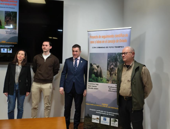 Oviedo hará un seguimiento de osos y lobos en el concejo