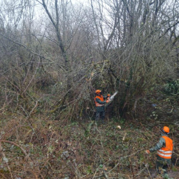 La Confederación Hidrográfica mejora los arroyos del Verde, La Reguera y El Reguerón en Salas