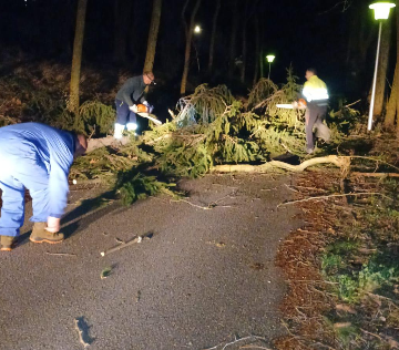 image El temporal deja un reguero de árboles caídos en la comarca y daños en la estación de autobuses de Tineo