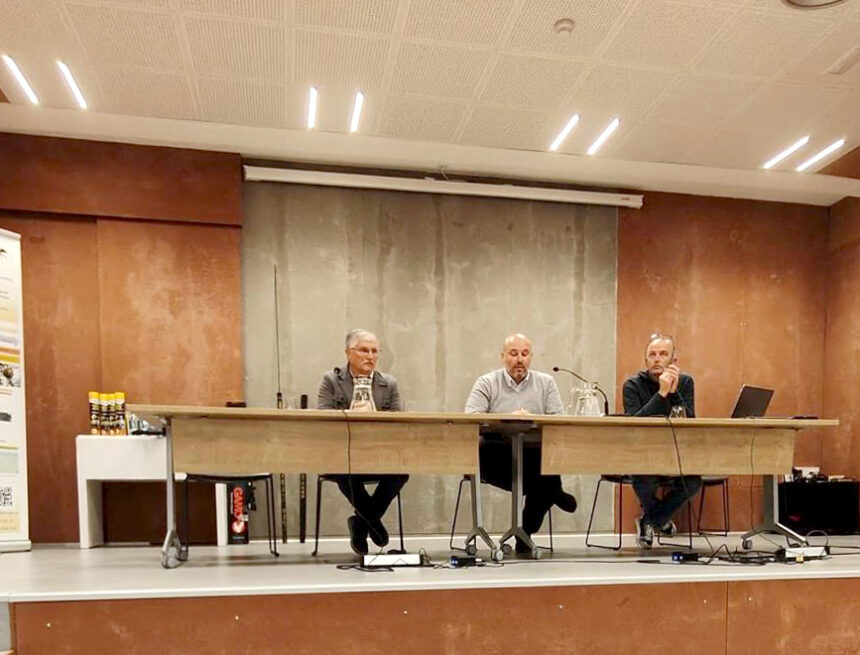 La avispa asiática creció en 2025: ya hay un  nido por kilómetro cuadrado en Asturias