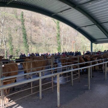 Quirós celebra el sábado su feria de San José