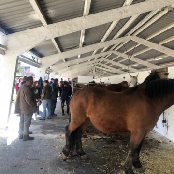 Tineo acoge el 19 de marzo una nueva edición de la Feria de San José