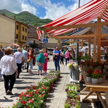 mercao-de-la-flores Teverga se prepara para celebrar el IX Mercado de las Flores