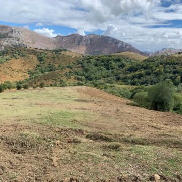 Yernes y Tameza abre el plazo para solicitar la licencia de pastos para la temporada 2026