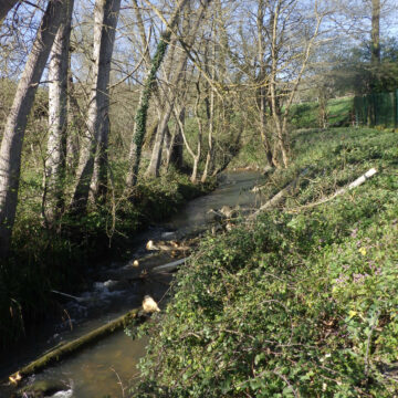 La Confederación Hidrográfica mejora la capacidad de desagüe del río Moutas, en Grau