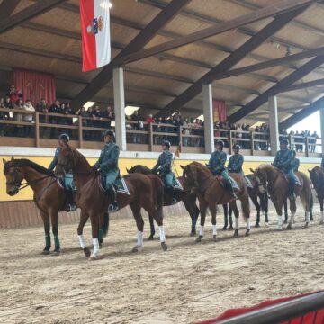 El mercado de ganado de Grau, en el Circuito de Inseminación Equino del Principado